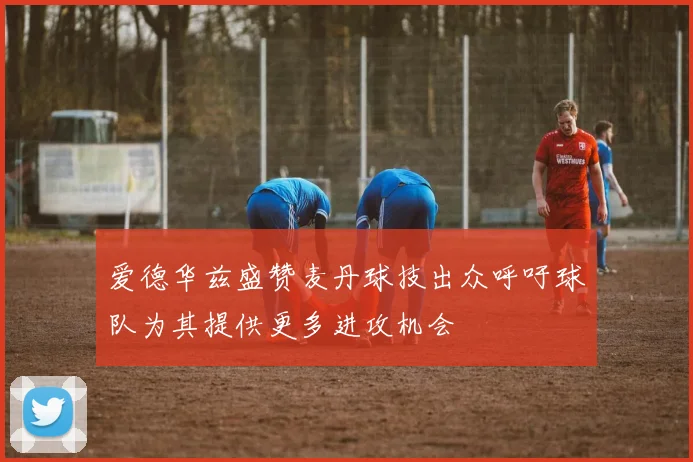 爱德华兹盛赞麦丹球技出众呼吁球队为其提供更多进攻机会